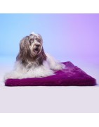 Le Tapis TOKYO |  Tapis pour chien et chat haut de gamme | Violet intense