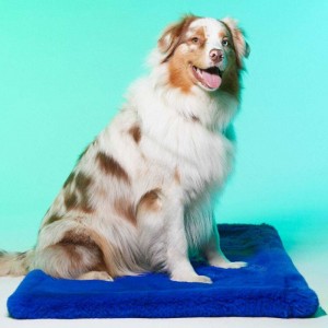 Le Tapis LONDON | Tapis pour chien et chat haut de gamme | Bleu royal