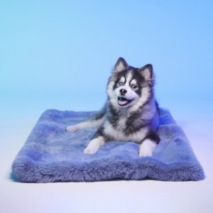 Le Tapis DUBAI | Tapis pour chien et chat haut de gamme | Bleu fumé