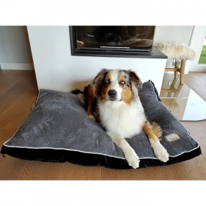 Bobby | Chien | Coussin ASTRIDE