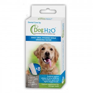 Dogh20 | Chien et chat | Boîte de 8 DENTAL CARE H2O