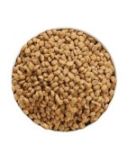 Ownat | Chat | Croquettes AUTHOR FRESH OILY FISH & POULTRY 3 kg