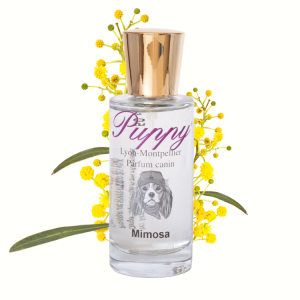 Parfum pour chien et chiot | PUPPY Mimosa | 50 ou 250 ml |