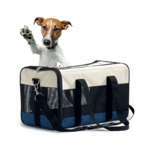 Sac de transport en toile pour chien | Spacieux, aéré et pliable