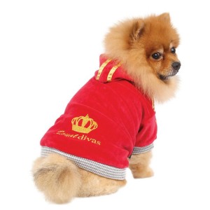 Sweat à capuche ROYAL DIVAS Rouge | Petit chien