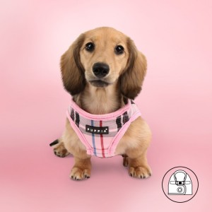 Harnais veste PUPPIA JUNIOR à carreaux rose style anglais