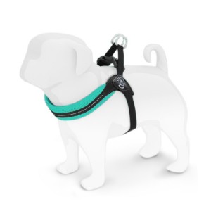 Harnais confort ajustable TRE PONTI pour chien avec clip | Bleu menthe