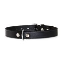 Collier pour chien RONDO en cuir avec rivets rond |Noir : Taille:L. 27 cm x 10 mm. Réglable de 19 à 22 cm.