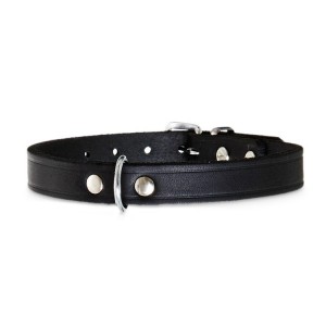 Collier pour chien RONDO en cuir avec rivets rond |Noir