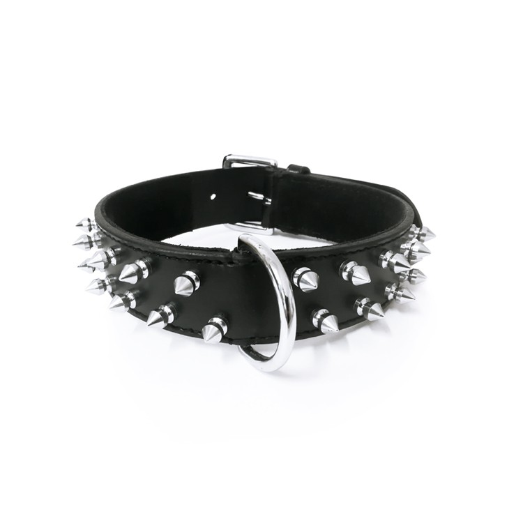 Collier Pour Chien En Cuir Noir Avec 2 Rangs De Pointes Bobby Rock Attitude Collier Pour Chien En Cuir Noir Avec 2 Rangs De Pointes Bobby Rock Attitude