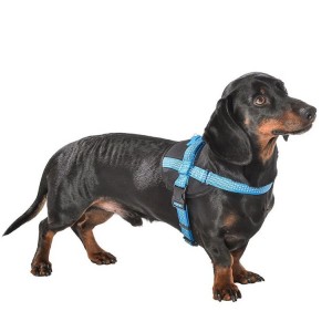 Harnais pour chien en nylon avec surpiqûres réfléchissantes EASY | BOBBY Bleu