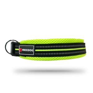 Collier nylon pour chien SOFT SPORT | Vert Anis