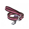 Laisse pour petit chien en nylon bicolore | ARLEQUIN | BOBBY : Couleur:Marron foncé, Taille:T2  - 100 cm x 16 mm