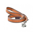 Laisse pour petit chien en nylon bicolore | ARLEQUIN | BOBBY : Couleur:Taupe, Taille:T2  - 100 cm x 16 mm