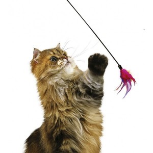 Plumeau, jouet en plumes pour chat