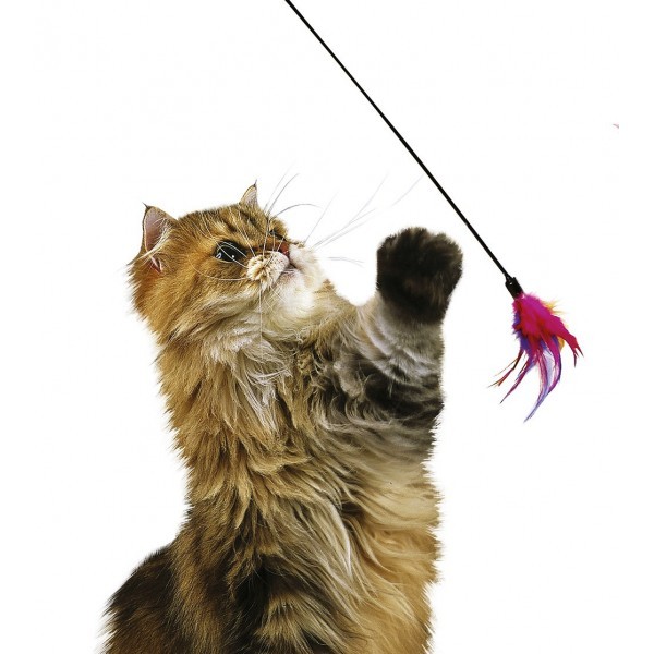 Plumeau Jouet En Plumes Pour Chat Plumeau Jouet En Plumes Pour Chat
