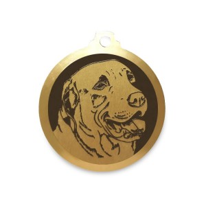 Médaille à graver en laiton de 36 mm | Chesapeake Bay Retriever