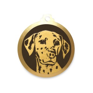 Médaille à graver en laiton de 36 mm | Dalmatien