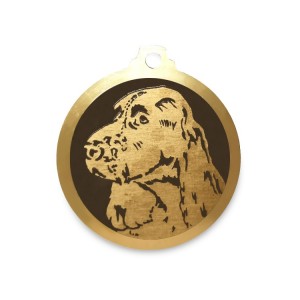 Médaille à graver en laiton de 36 mm | Setter Gordon