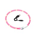 Collier Visio Light LED pour chien : Couleur:Rose