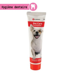 Dentifrice à la menthe pour nettoyer les dents de votre chien