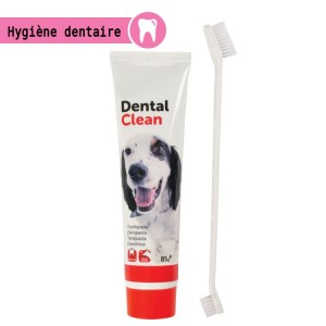 Dentifrice à la menthe avec brosse à dents double pour nettoyer les dents de votre chien