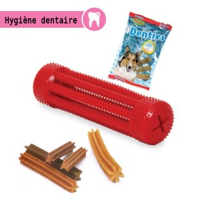 Jouet dentaire pour y insérer des friandises| Jouet pour chien et chiot