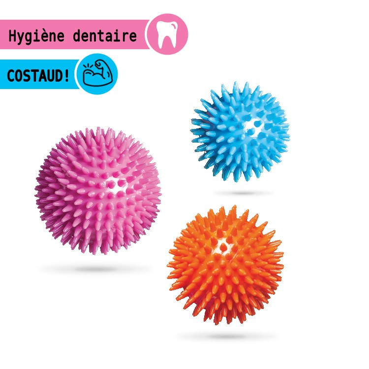 ball pour chien