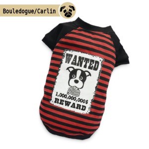 T-shirt WANTED rayé noir et rouge | Bouledogue et Carlin