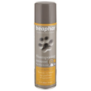 Shampoing sec en mousse sans rinçage |Chien et chat | BEAPHAR