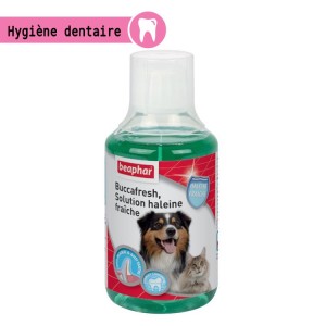 Solution liquide au Menthol pour une haleine fraîche de votre chien | BEAPHAR