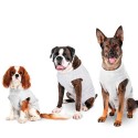 Body de soin pour chien | Protection des blessures : Longueur de dos:Dos : 26 cm
