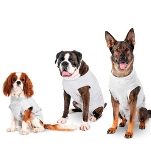 Body de soin pour chien | Protection des blessures