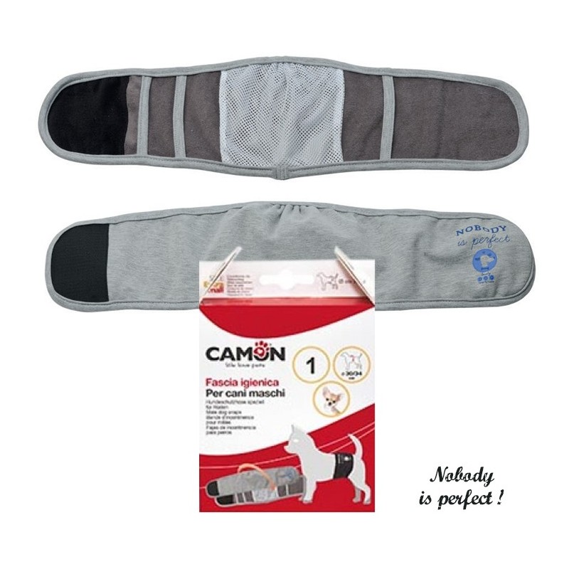 Bandeau anti-pipi OXBRIDGE pour chien mâle