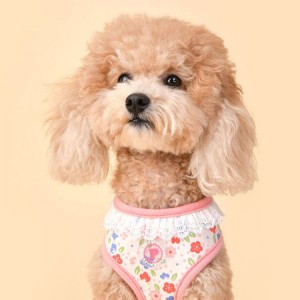 Pinkaholic CROCUS | Harnais chien motif fleurs et dentelle | ROSE Taille L