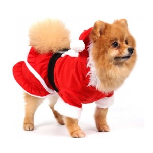 Manteau robe mère Noël pour chienne avec capuche et pompon