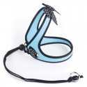 Harnais confort TRE PONTI Fashion pour chien avec cordon | Bleu : Taille:T. 1 -  Poitrine 23 à 33 cm. Max 3 kg.