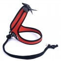 Harnais confort TRE PONTI Fashion pour chien avec cordon | Rouge : Taille:T. 1 -  Poitrine 23 à 33 cm. Max 3 kg.