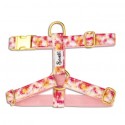Harnais BANDIKINI | BANDIT : Taille Bandit: XS - 15 mm C: 23/30 cm P: 29/34 cm