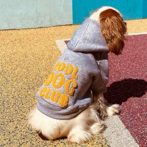 Sweat à capuche "COOL DOG CLUB" Gris | BANDIT