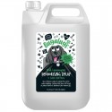 BUGALUGS Wild Lemongrass | Spray déodorant : Contenance :5 L