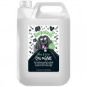 BUGALUGS Aloe & Kiwi | Spray de Cologne pour chien : Contenance :5 L