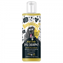 BUGALUGS Medi Fresh Tea Tree & Oatmeal | Shampoing pour chien  anti-démangeaisons : Contenance :250 ml