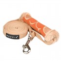 Laisse pour chien Puppia FLORENT M | Orange ou Kaki | 2m : Couleur:Orange