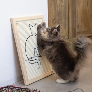 Tableau griffoir chat SAMMY | Designed by Lotte | 50 x 40 cm