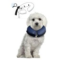 Collier gonflable pour protéger les chiens et chats blessés pour une meilleure guérison : Taille:XS - Tour de cou de 15 à 20 cm