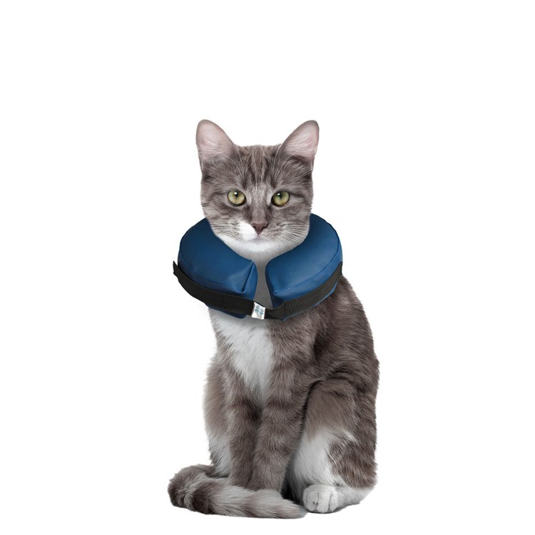 Collier Gonflable Pour Proteger Les Chiens Et Chats Blesses Pour Une Meilleure Guerison