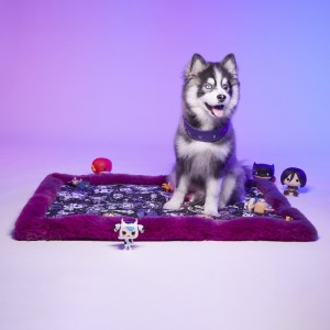 Le Tapis Collection RAINBOW PARTY | Violet avec personnages