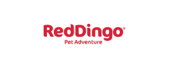 Red Dingo