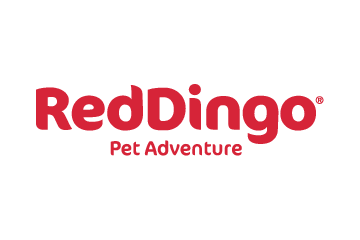 Red Dingo